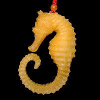 Gorgeously Realistic Sea Horse