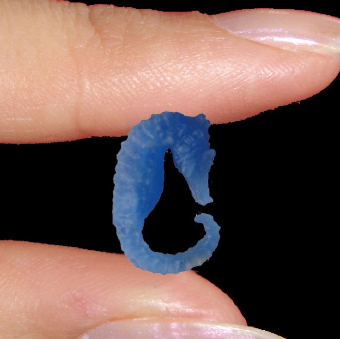 Stunningly Lifelike Sea Horse