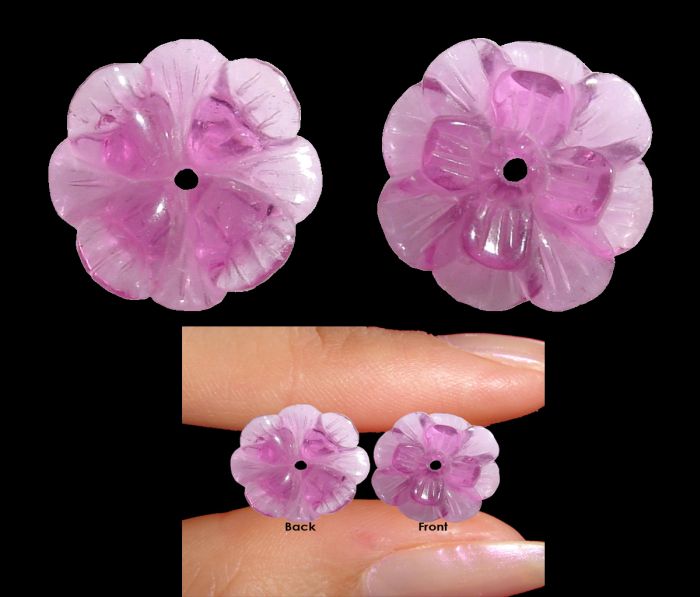 Hibiscus Flower